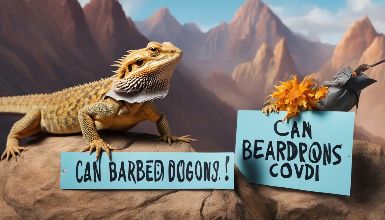 Bearded dragon with covid precautions
