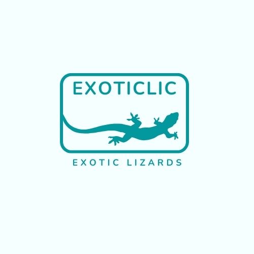 Exoticlic logo